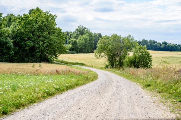 Stone Driveway Repair in Joplin